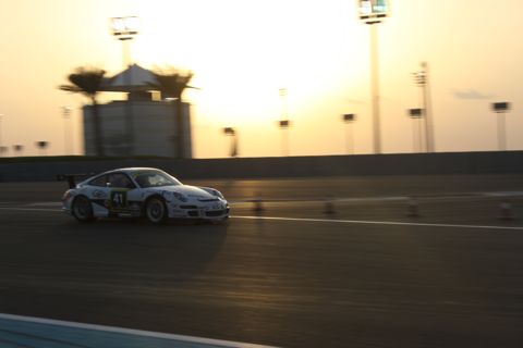 Dubai_Carworld_palmen